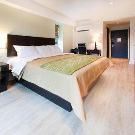 Comfort Inn & Suites - Kew Gardens Near La Guardia Airport New York Dış mekan fotoğraf