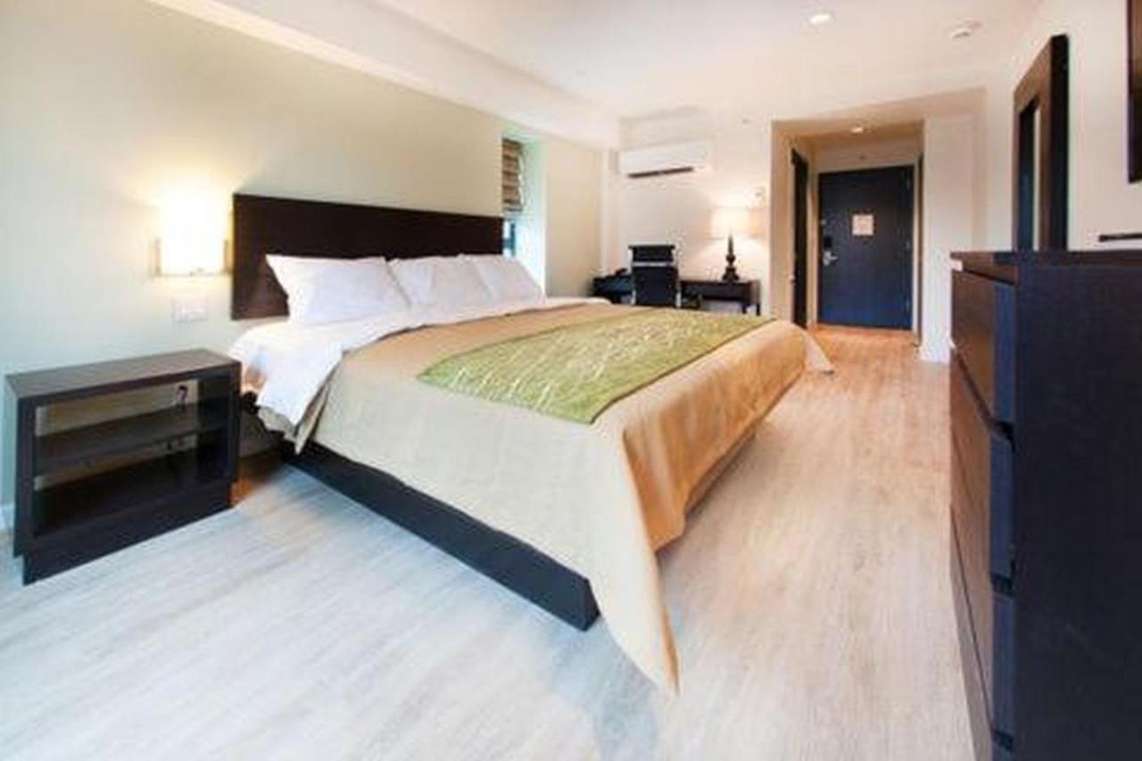 Comfort Inn & Suites - Kew Gardens Near La Guardia Airport New York Dış mekan fotoğraf